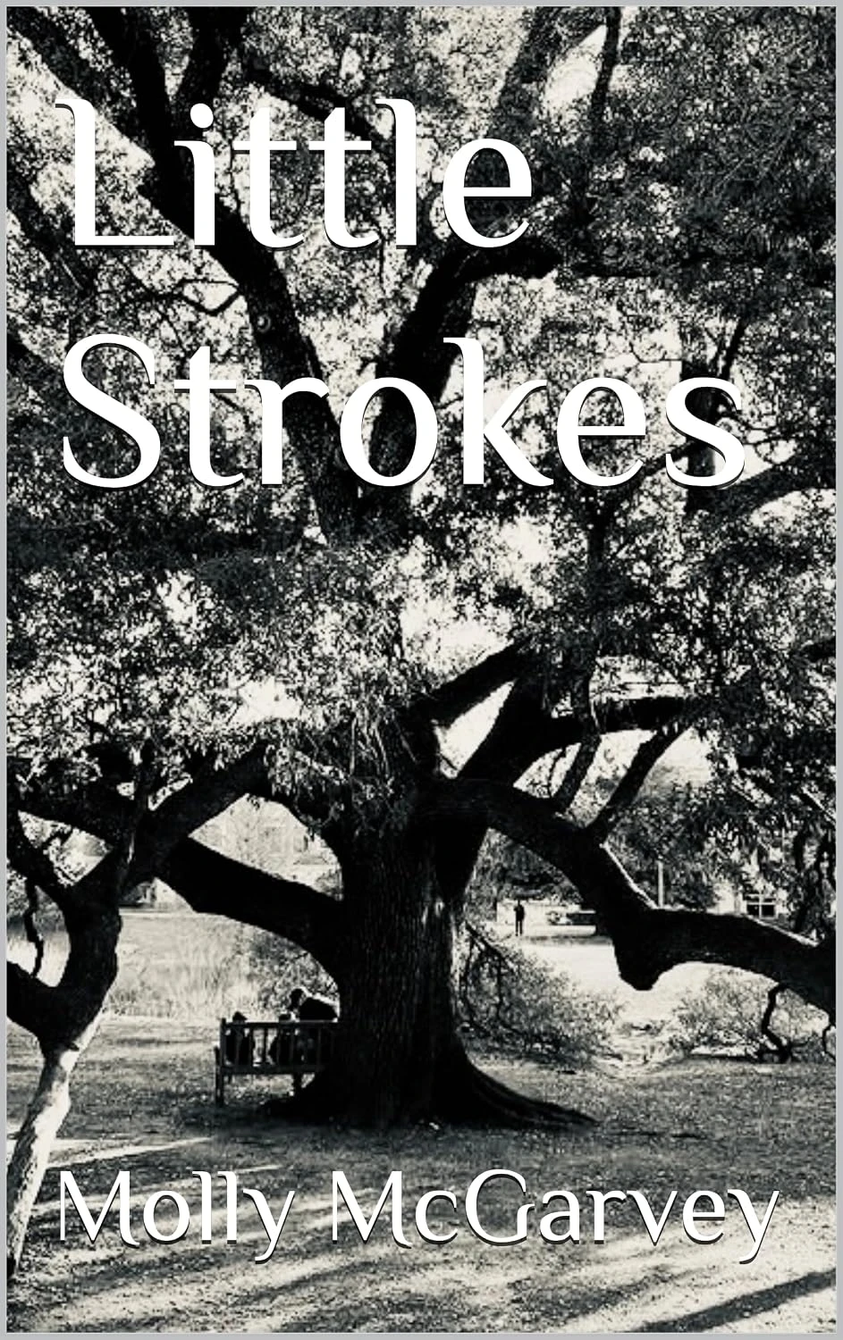 Little Strokes: The Erasure of Austin’s book cover