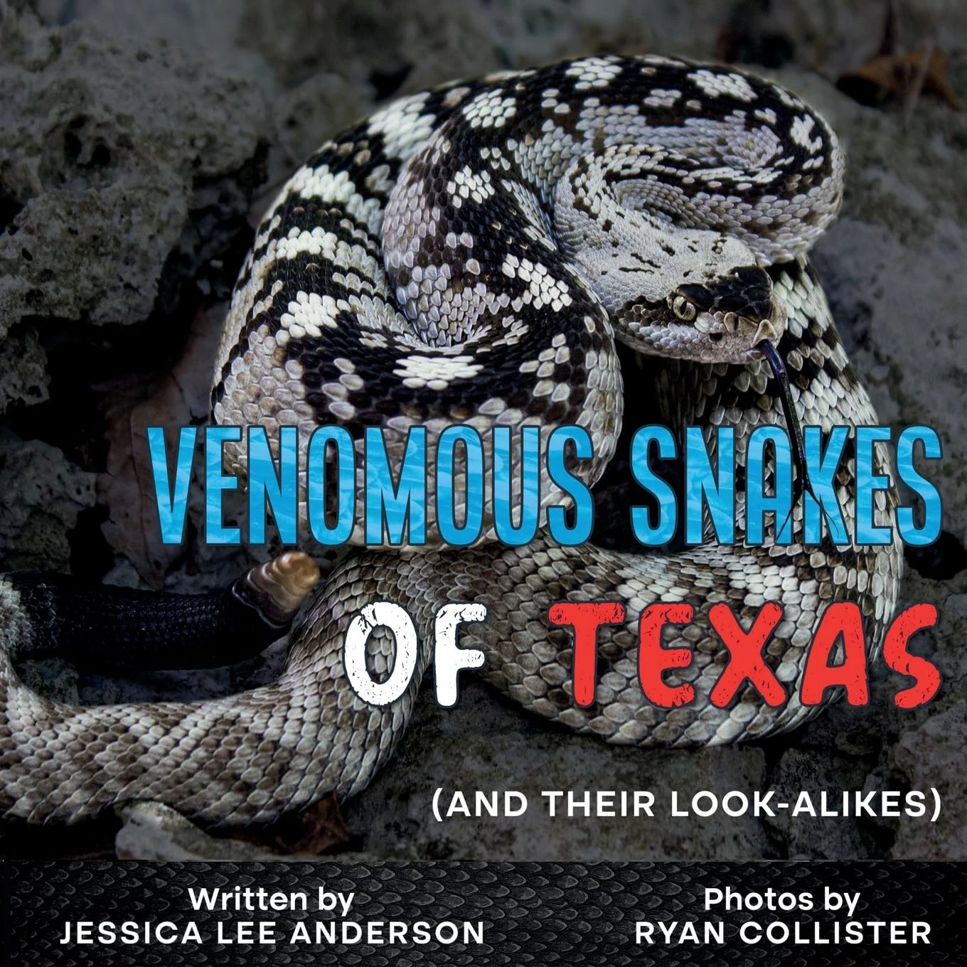 Venomous Snakes of Texas book cover